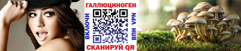 Псилоцибиновые грибы Cubensis  продажа наркотиков  Козельск 